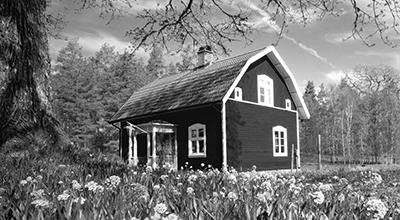 Maisonnette campagnarde avec champ de fleurs et arbre en avant-plan, avec une forêt en arrière-plan (noir et blanc)