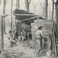 Drawing depicting a forest in which men are collecting and boiling maple sap to make syrup.